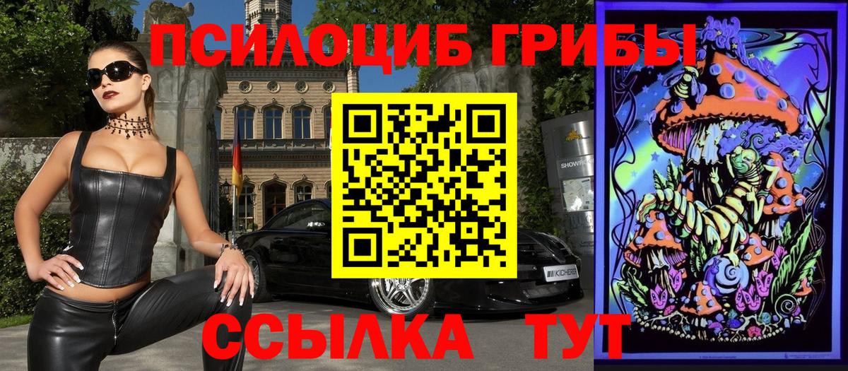 Псилоцибиновые грибы Cubensis  Псилоцибиновые грибы MAGIC MUSHROOMS  закладка  Ивантеевка 