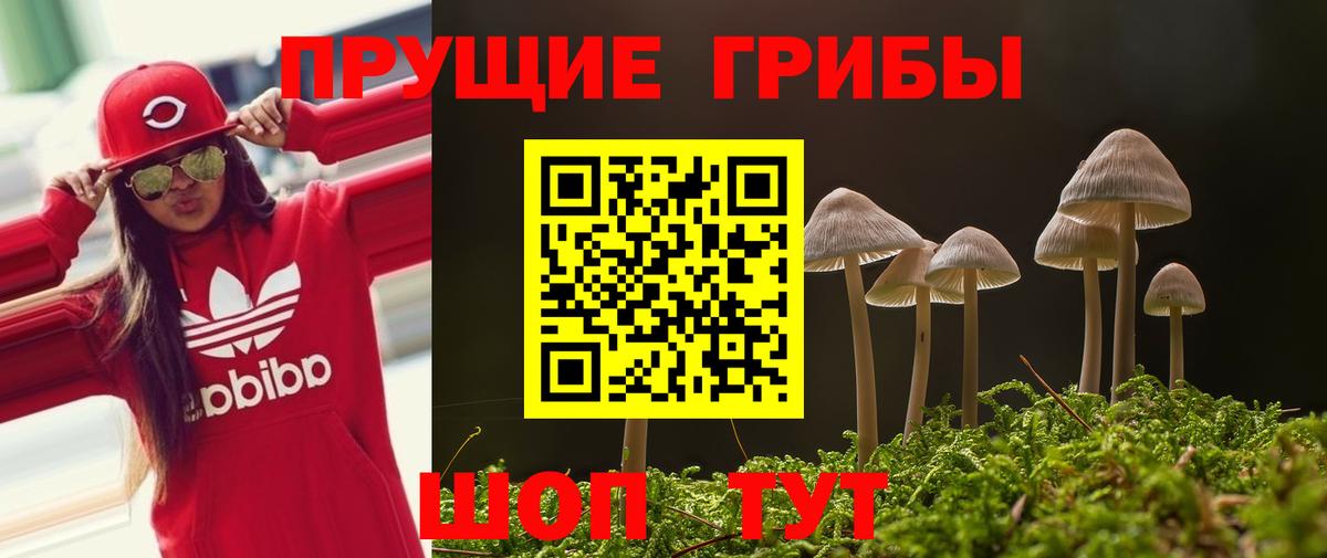 Галлюциногенные грибы Magic Shrooms  Псилоцибиновые грибы Magic Shrooms  Ивантеевка  Вход с VPN 